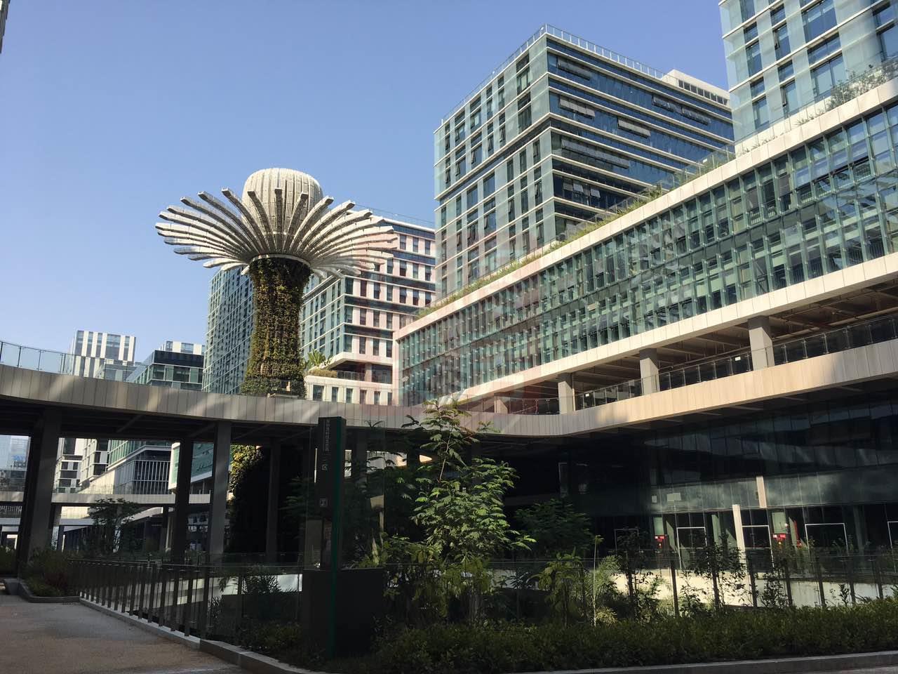 以土地供给侧改革为支点 深圳科技与制造业高质量发展的多维激励路径